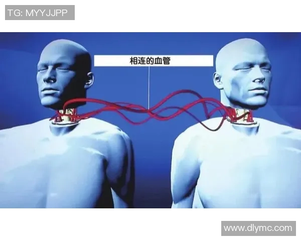 王敏专访揭示足球成功背后的秘密与策略分析